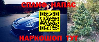 эйфоретик Ливны