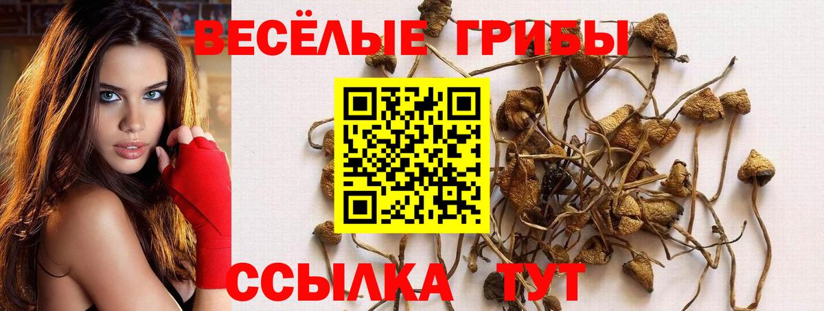 Галлюциногенные грибы Cubensis  Вход с VPN  Химки 